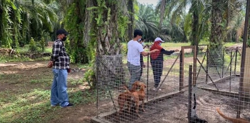 SPCA Kunak Animal Shelter and Adoption Centre SPCA Kunak Animal Shelter and Adoption Centre