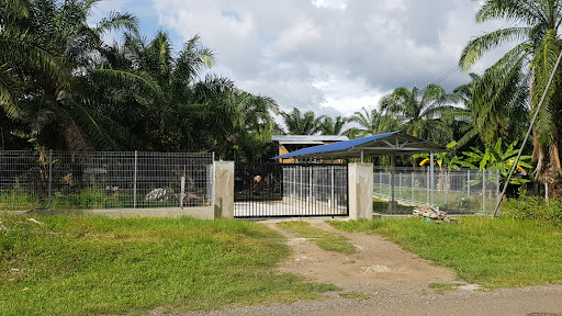 SPCA Tawau Jalan Kau Sing SPCA Tawau Jalan Kau Sing