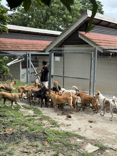 SPCA Selangor