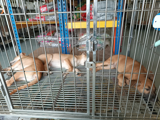 My Pets Haven - Setia Alam My Pets Haven - Setia Alam