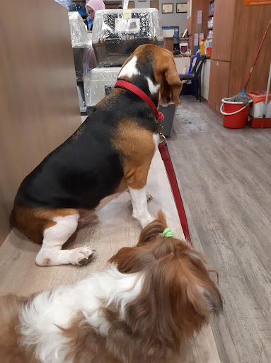 Pet Lovers Centre - SS2 Central Pet Lovers Centre - SS2 Central