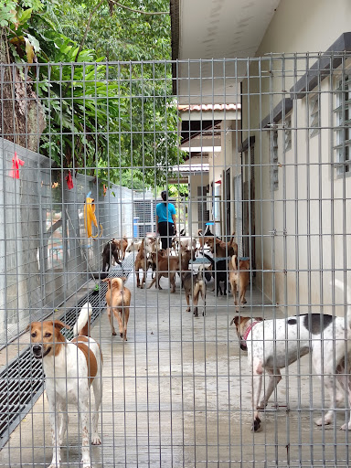 SPCA Selangor SPCA Selangor
