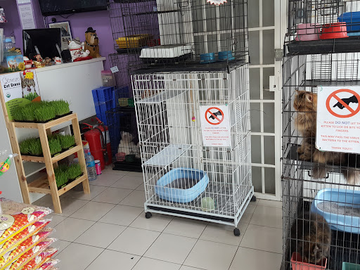 Discover Pets (M) Sdn Bhd Discover Pets (M) Sdn Bhd