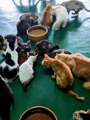 S.I Home Shelter S.I Home Shelter