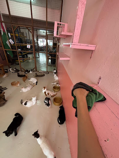 S.I Home Shelter