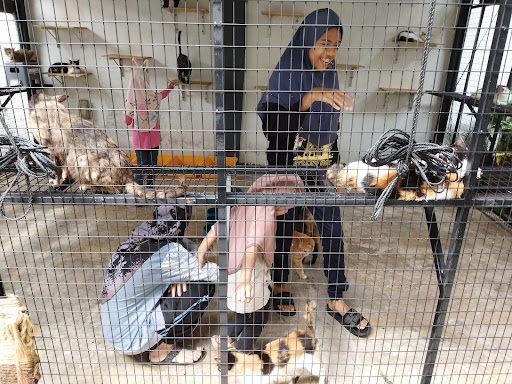 PERSATUAN HAIWAN MALAYSIA - MALAYSIA ANIMAL ASSOCIATION