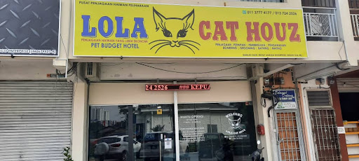 Lola Cat Houz Lola Cat Houz