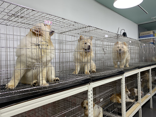 C&D Pet Shop C&D Pet Shop