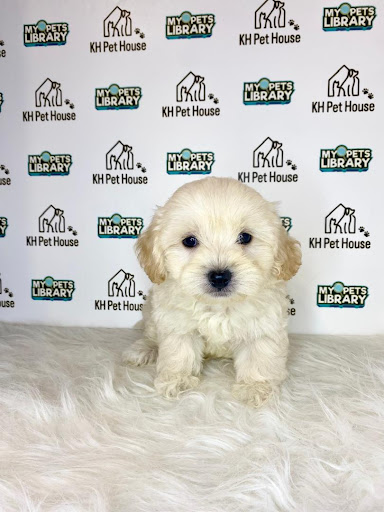 KH Pet House KH Pet House