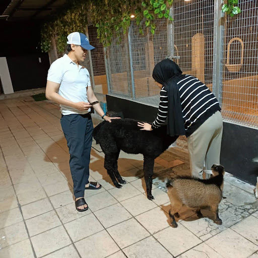 Designer Cats Malaysia | Cat Cafe & Petting Zoo Designer Cats Malaysia | Cat Cafe & Petting Zoo