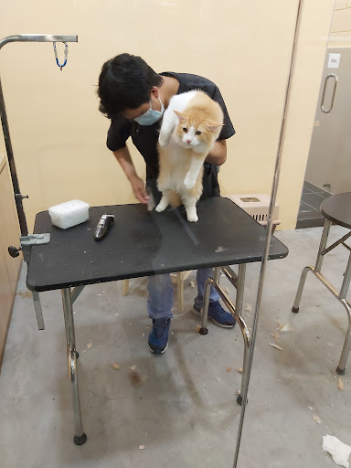 Pet Lovers Centre - Toppen Shopping Centre Pet Lovers Centre - Toppen Shopping Centre