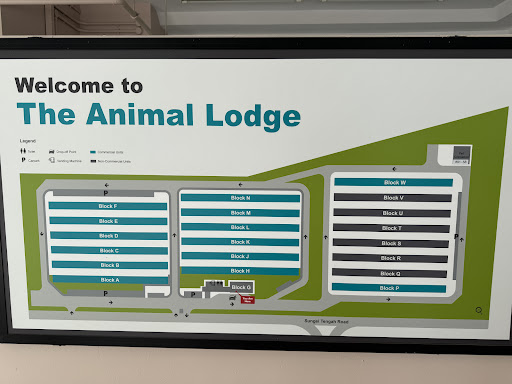 The Animal Lodge