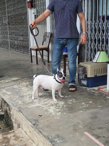 Klinik Veterinar Wondercare