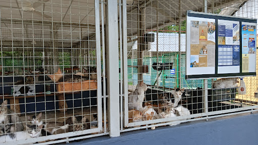 PakMie Shelter PakMie Shelter