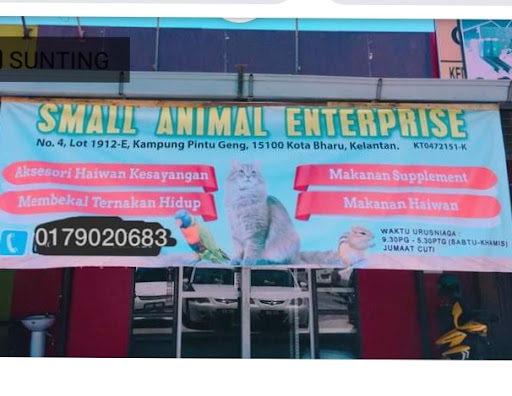 Kitty cat klinik kota bahru Kitty cat klinik kota bahru
