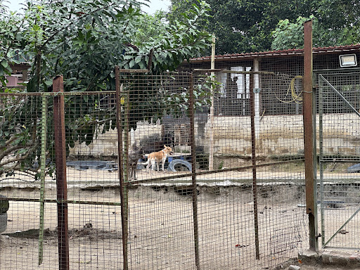 Woo & Meow Animal Shelter Organisation Woo & Meow Animal Shelter Organisation