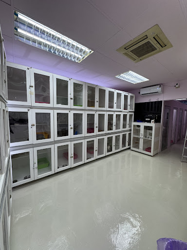 Izzlisha Majesty - Cat Cafe, Cat Supplies, Cat Hotel & Spa Izzlisha Majesty - Cat Cafe, Cat Supplies, Cat Hotel & Spa
