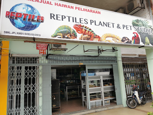 Reptiles Planet & Pet Studio