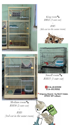 C & B Pavilion Pets