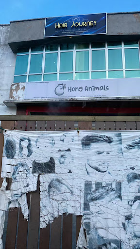 Hong Animals Hong Animals