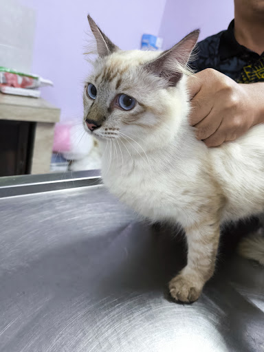 Pejabat Perkhidmatan Veterinar Daerah Masjid Tanah Pejabat Perkhidmatan Veterinar Daerah Masjid Tanah