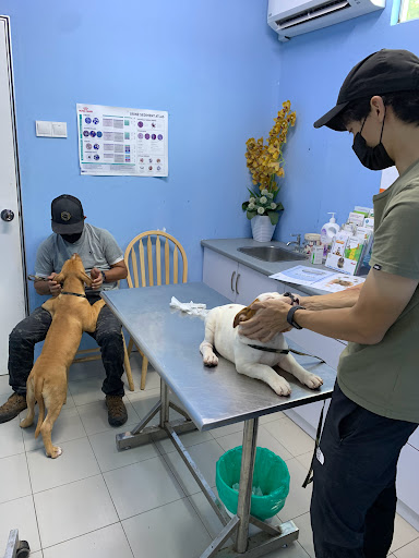 My Animal Clinic & Surgery My Animal Clinic & Surgery