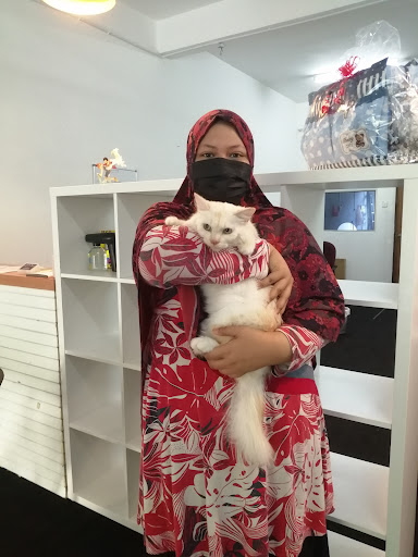 Cat Grooming (Meowy Groom) Cat Grooming (Meowy Groom)