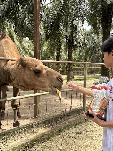 马来西亚慈悲护生园 (慈悲護生園) 马来西亚慈悲护生园 (慈悲護生園)
