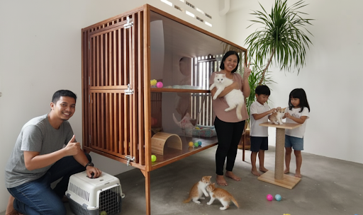 Hotel Kucing Bajet Seremban (Atas Kedai Akuarium)