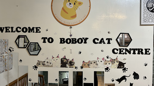 BOBOY CAT CENTRE JERANTUT BOBOY CAT CENTRE JERANTUT