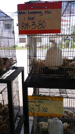Andy Poultry & Pet House Andy Poultry & Pet House
