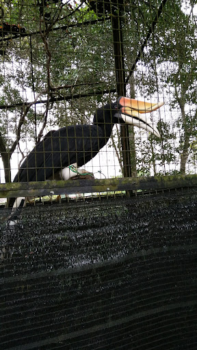 Zoo Lipis