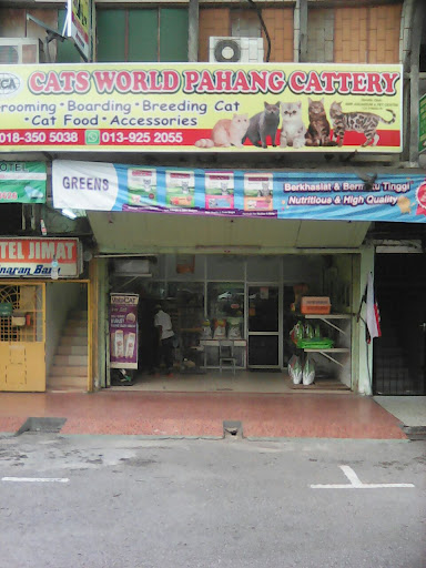 Cats World Pahang Cattery