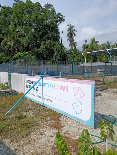 SAFE Animal Shelter