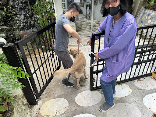 Sugar Rae Pet Village