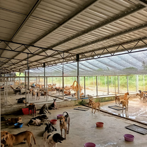 SPCA Seberang Perai @ Juru SPCA Seberang Perai @ Juru