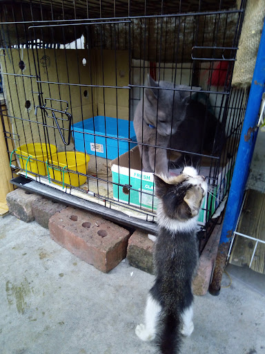 E PET SHOP @ Bandar Perda E PET SHOP @ Bandar Perda