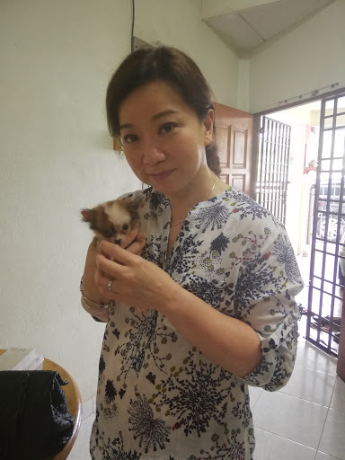 Mr J Pet Centre Mr J Pet Centre