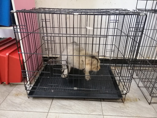 Klinik Veterinar Ecovet