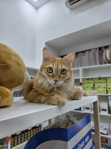 Pisces & Aqua Pet Concept Store