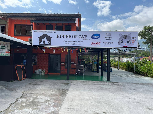 House Of Cat Tanjung Bungah