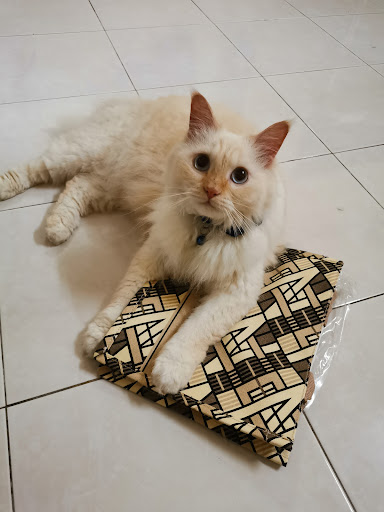Kaka Cat House