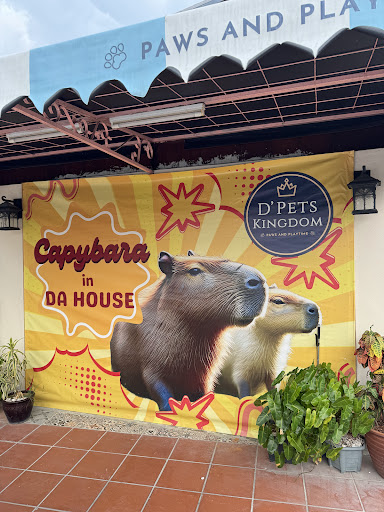 D'Pets Kingdom