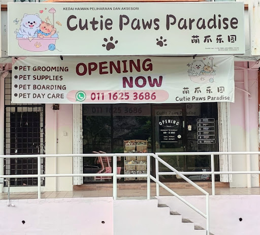 Cutie Paws Paradise Cutie Paws Paradise