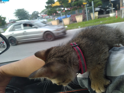 Pejabat Perkhidmatan Veterinar Daerah Larut, Matang dan Selama