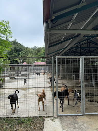 SPCA KK Rehabilitation And Adoption Centre