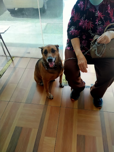 Kinabalu Animal Clinic Kinabalu Animal Clinic