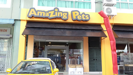Amazing Pets
