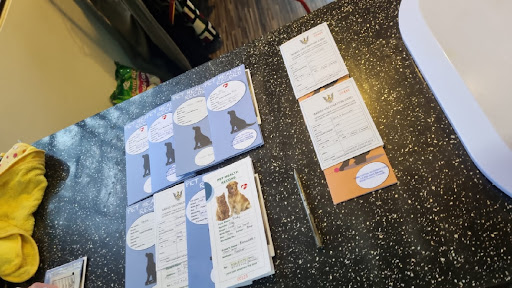 Animal Central Veterinary Clinic