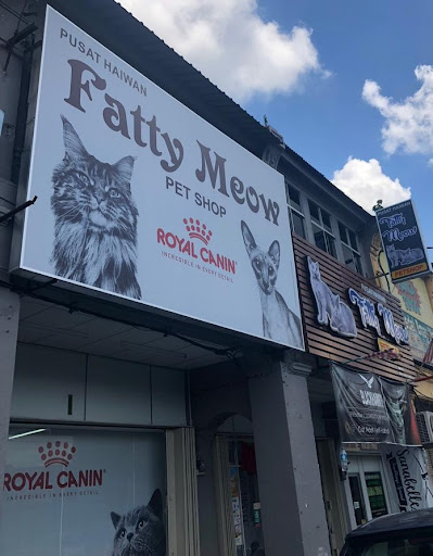 fatty meow petshop fatty meow petshop